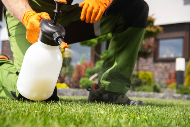 Wildlife Control Services in Blue Springs, MO