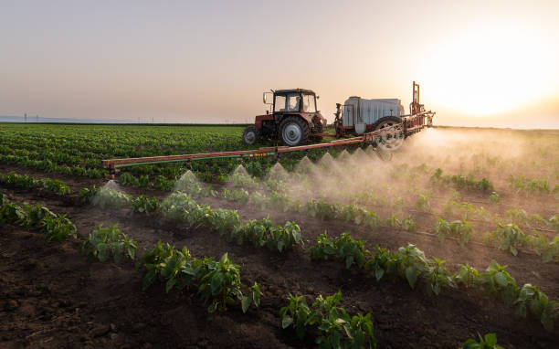Best Commercial Pest Control Services  in Blue Springs, MO