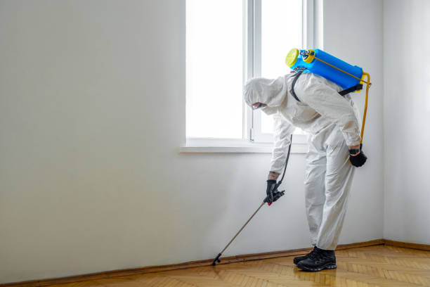 Pest Control Cost in Blue Springs, MO