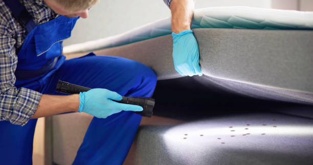 Best Pest Control Cost  in Blue Springs, MO