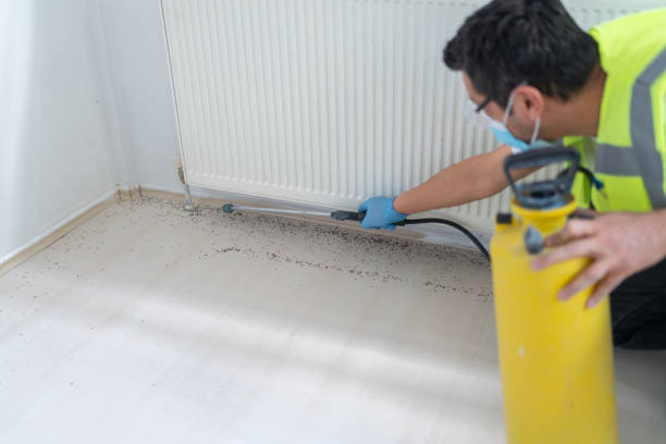 Best Exterminator Services  in Blue Springs, MO