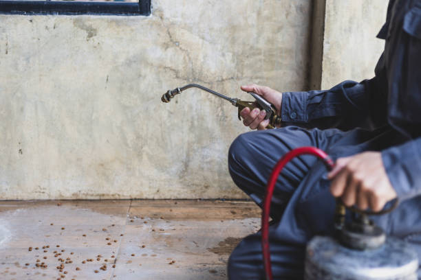 Best Pest Control for Businesses  in Blue Springs, MO