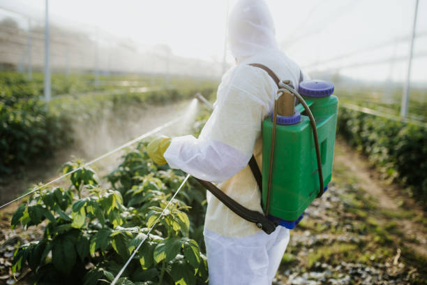 Best Affordable Pest Control Services  in Blue Springs, MO